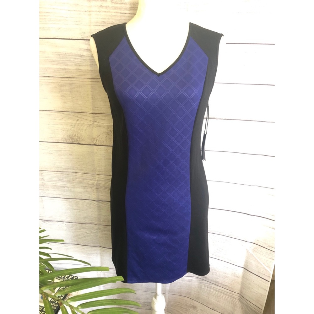 Eric + Lani | Colorblock Dress